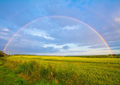 Rainbow, green field